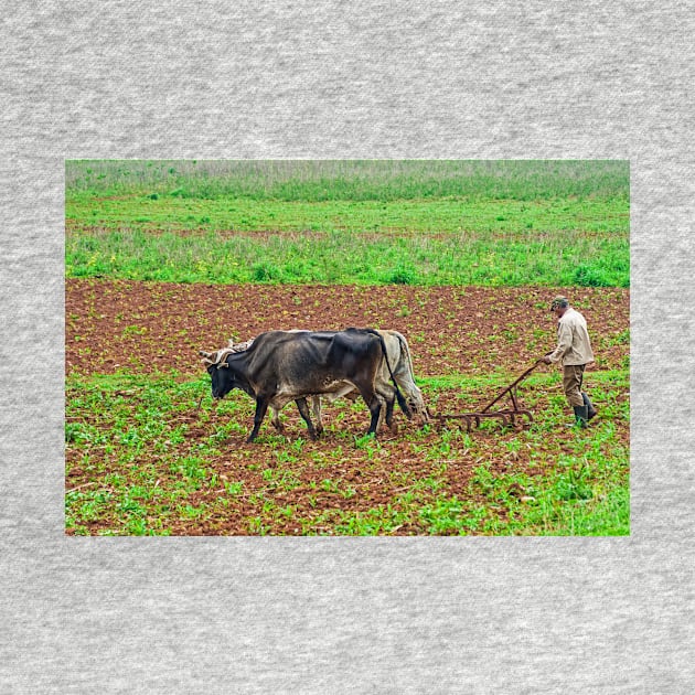 Ploughing. by bulljup